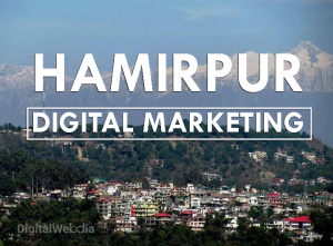 Best Digital Marketing Services in Hamipur (HP)
